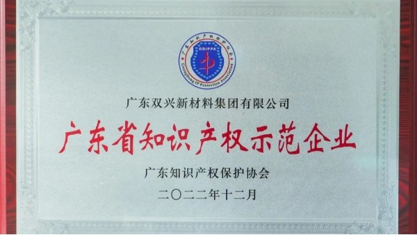 雙興集團榮獲“知識產權示范企業(yè)”榮譽